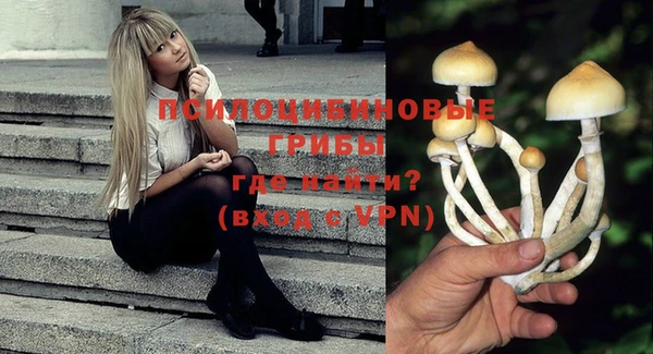 сатива Алексин
