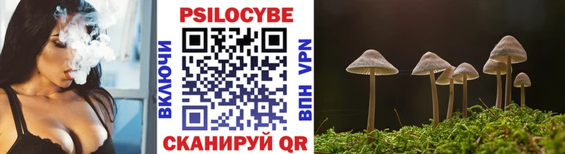 Галлюциногенные грибы MAGIC MUSHROOMS  нарко площадка клад  Камешково 